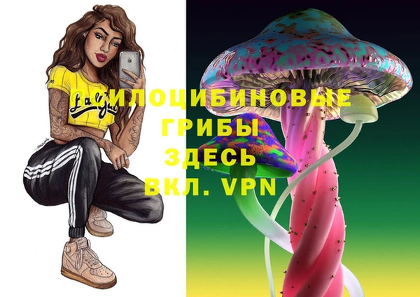 2c-b Богородск