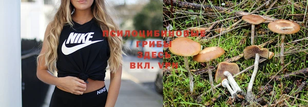 ALPHA PVP Богданович