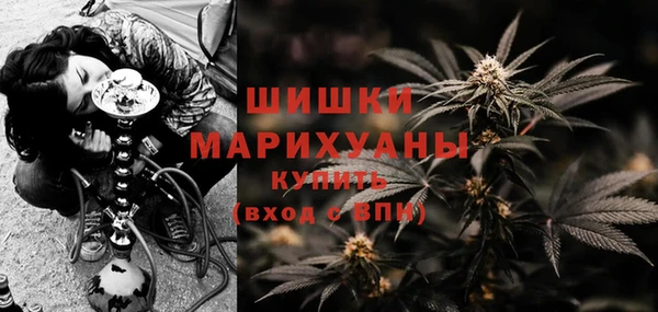 2c-b Богородск