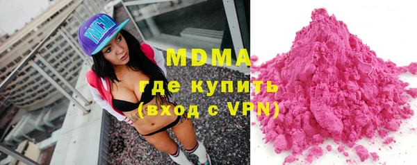 мдпв Ельня