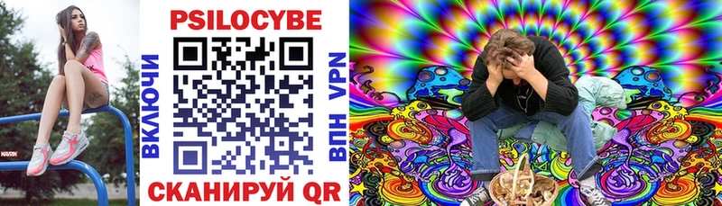 Галлюциногенные грибы Psilocybine cubensis  Михайлов 
